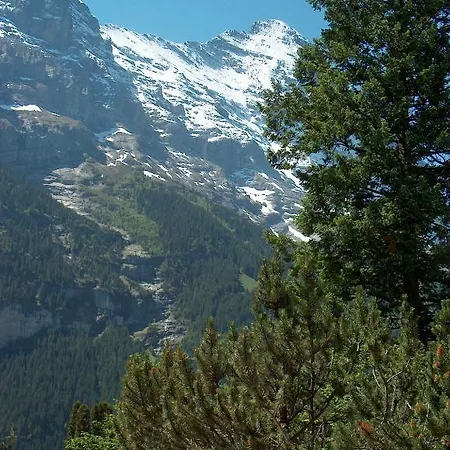 Hohturnen Appartement